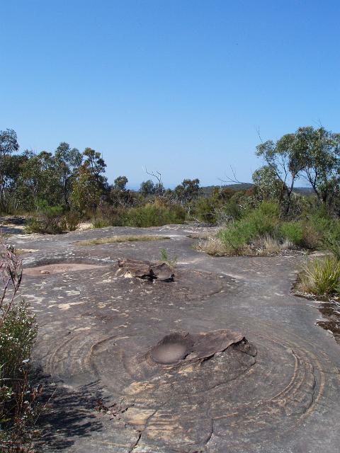 The Circles, Aboriginal rock engravings, oaks fire trail