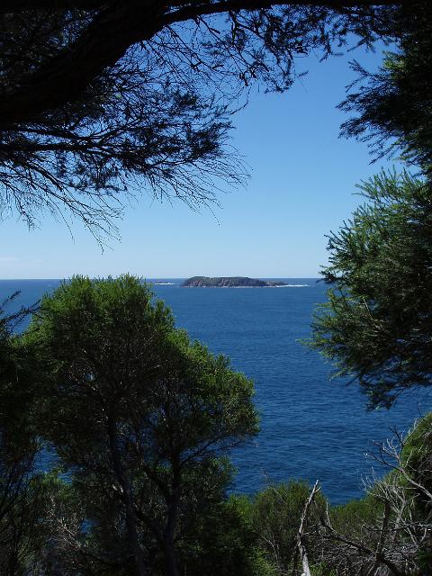 a view through bush vegetation to a distant island out to see from tomaree head