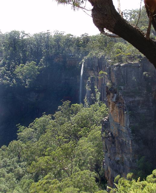 fitzroy falls on Yarrunga creek, in the morton national park, southern highlands, NSW