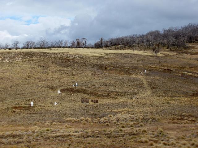 historic goldminers graves in the snowy mountains