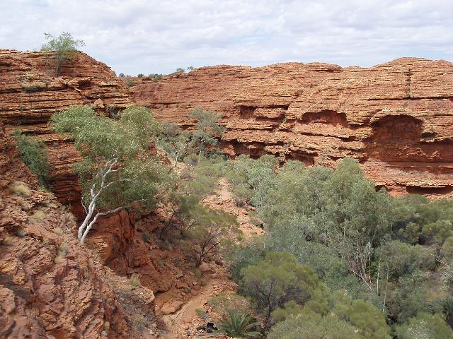 a view inside kings canyon in an area known as the garden of eden