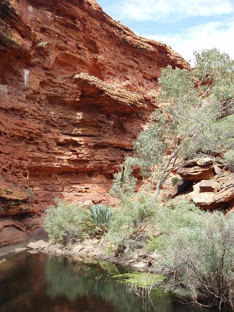 a sheltered rock pool inside kings canyon in the garden of eden
