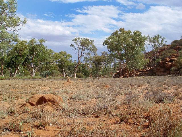 a dry desert landscape in australis red centre
