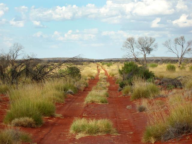 a remote desert dirt track road stretches into the distance