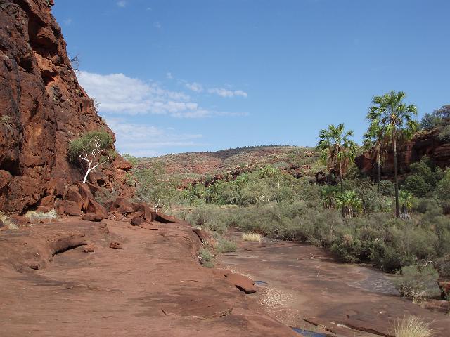 the bed of the finke river as it passes through palm valley