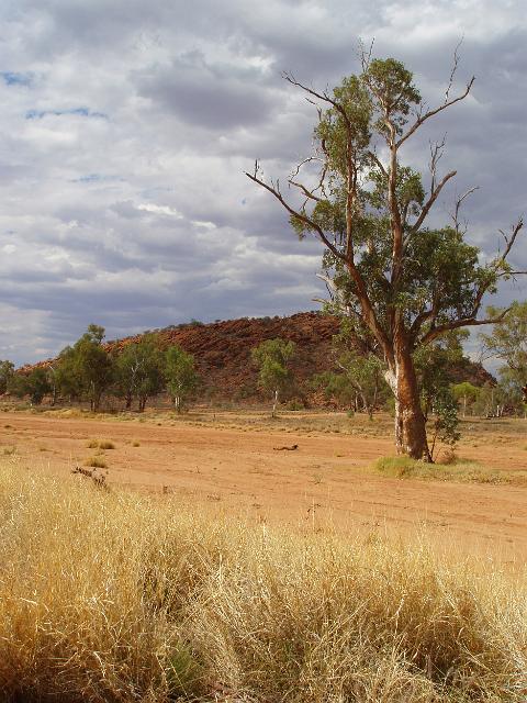 parched sandy riverbed of the todd river near alice springs, NT