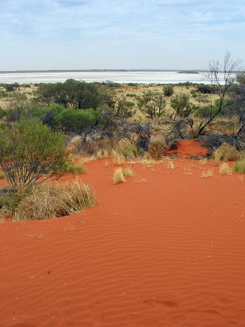 bright red orange coloured sand forming a dune in australis red centre desert