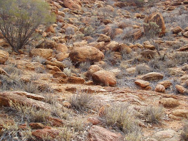 dry desert scrubland near alice springs