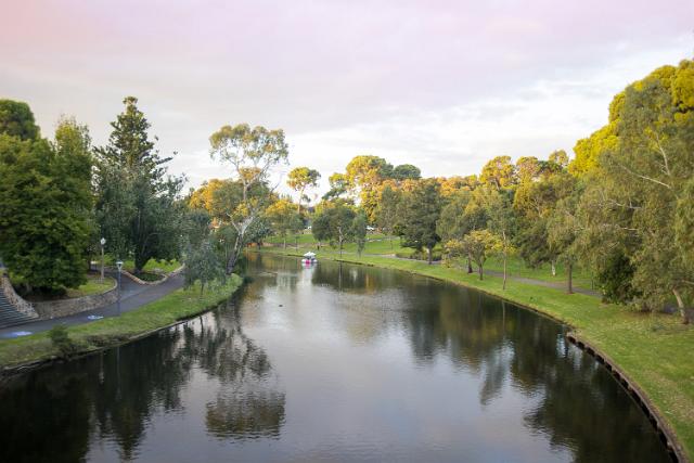 Reflections in the tranquil Torrens River in Adelaide, Australia of the surrounding leafy green trees with a footpath following the bank