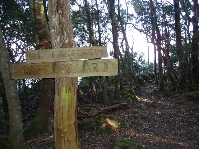 sign marking the summit of mount fortescue on the tasman peninsula three capes walking trail