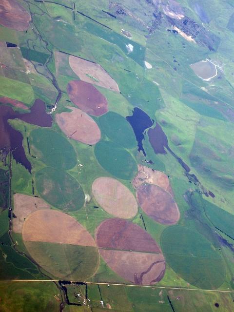 from the air - tasmanian farm land  with large circles of crops
