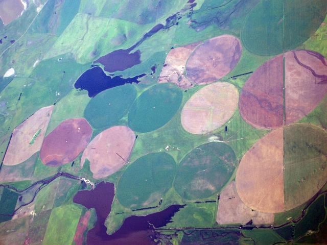 from above - tasmanian farm land  with large circles of crops