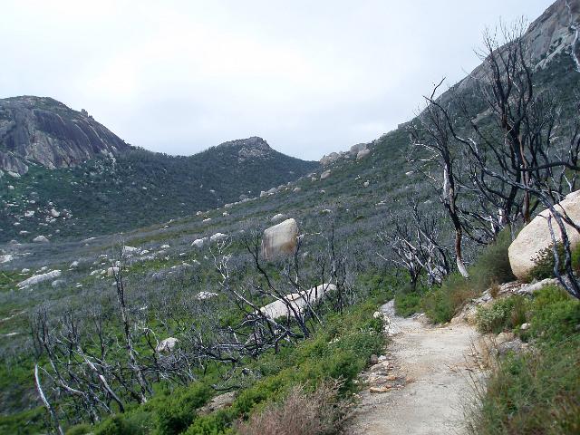 one of several footpaths around wilsons promontory after a bush fire